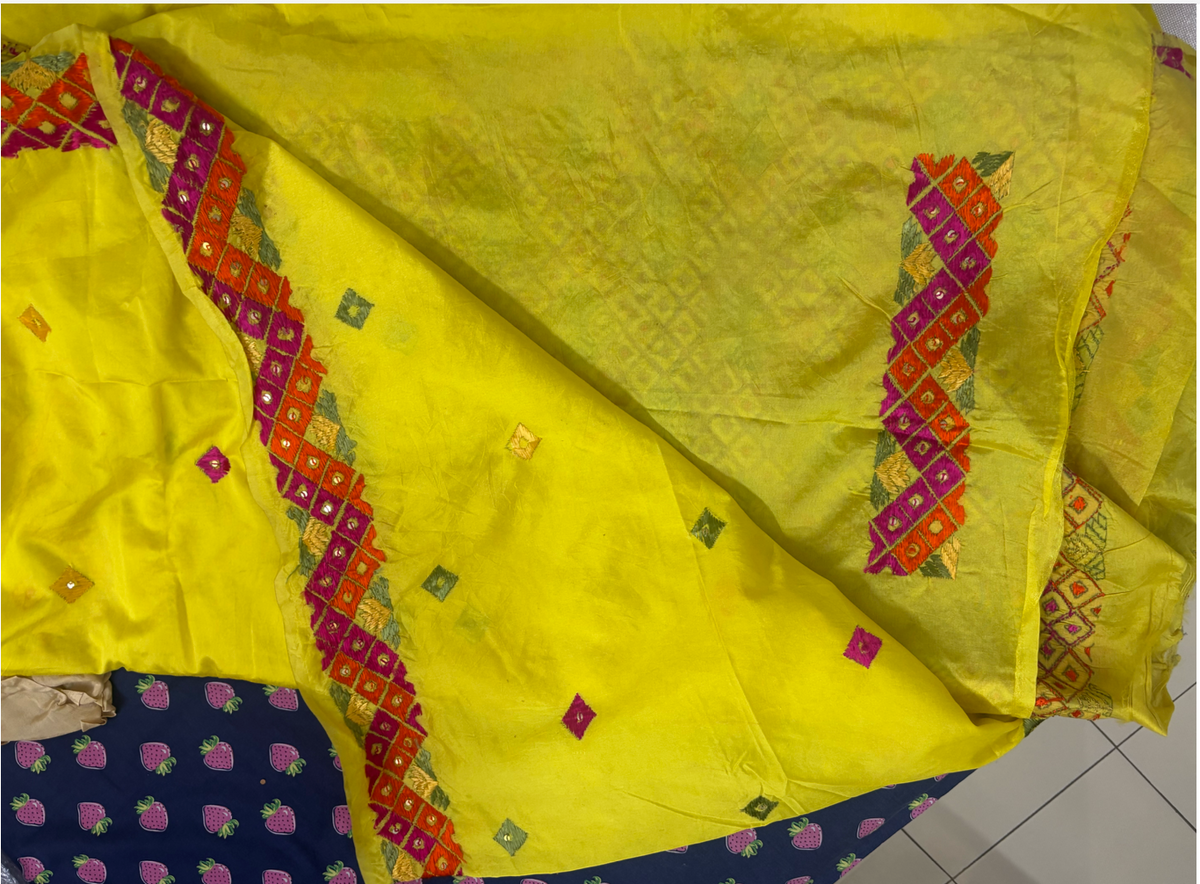 PHULKARI SARI